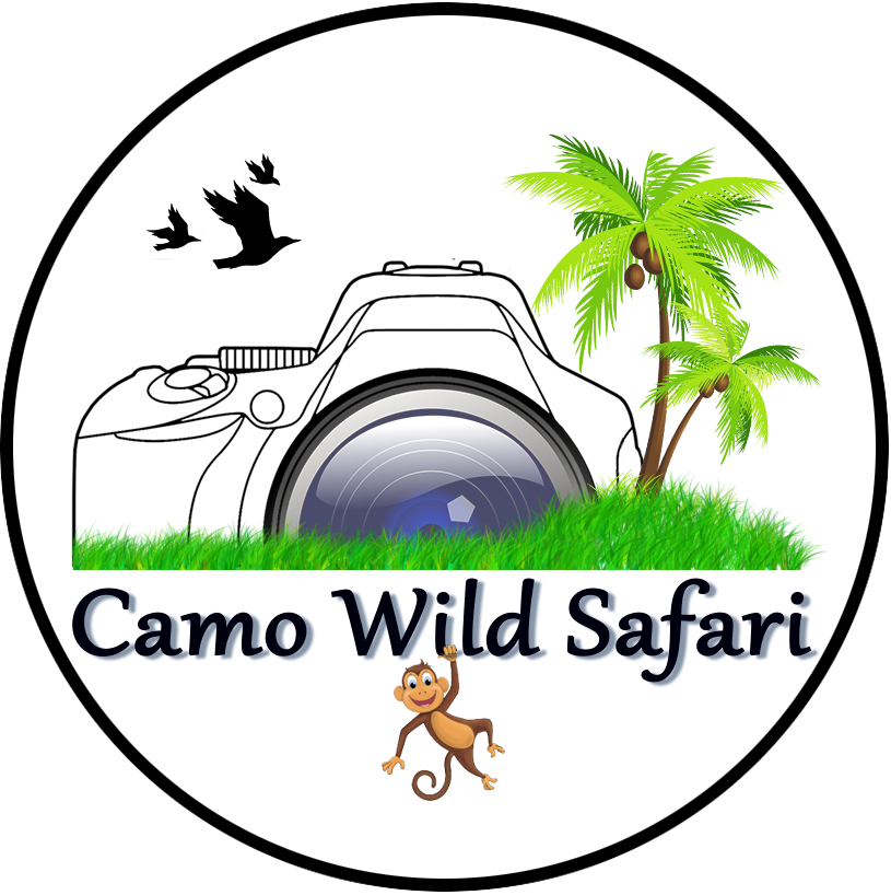 Camo Wild Safari